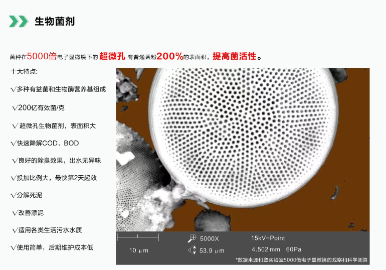图片13.png